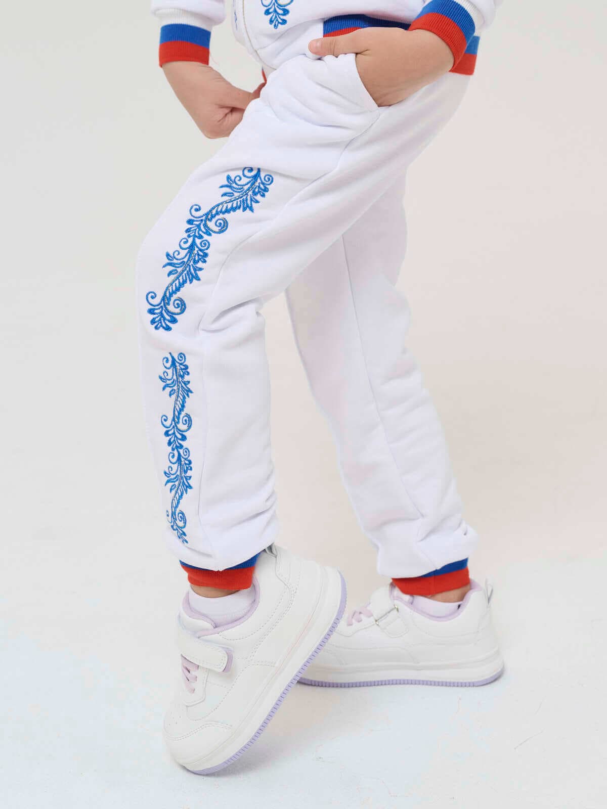 TRACKSUIT "Trikolor 2" ("Tricolour 2") SKU 0393-1, photo 4